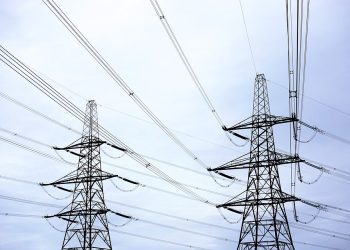 Are Transmission Lines Bad for the Ecosystem?