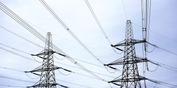 Are Transmission Lines Bad for the Ecosystem?