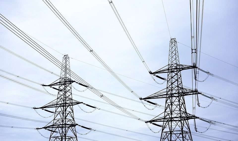 Are Transmission Lines Bad for the Ecosystem?