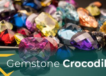 Unveiling the Gemstone Crocodile: A Jewel in the World of Investments