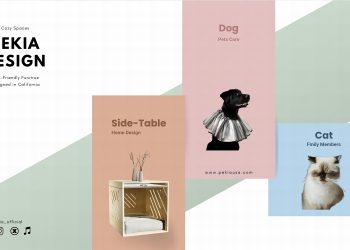 Pet-Friendly Furniture: Transforming Workspaces for Remote Living