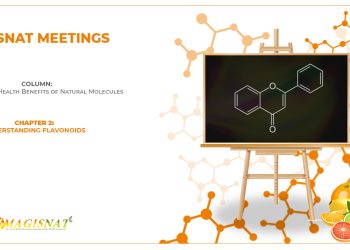 Understanding Flavonoids