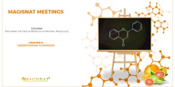 Understanding Flavonoids