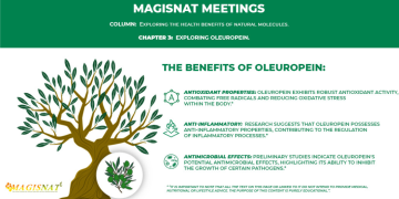 Chapter 3: Exploring Oleuropein