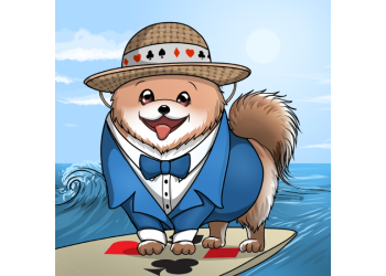 Cashflow Poms: Pioneering Success in the NFT Space