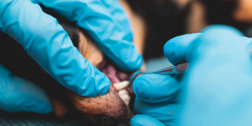 An expert talks: the best the best dental care for dog